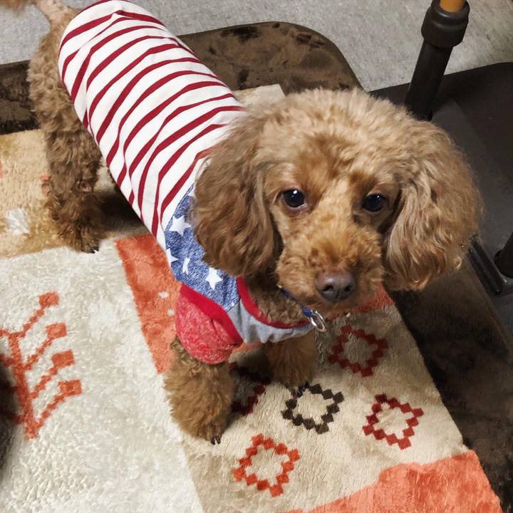 Bcc4d30e 8dda 43cc 85dc d7ea96dfd3a9 1576371029078