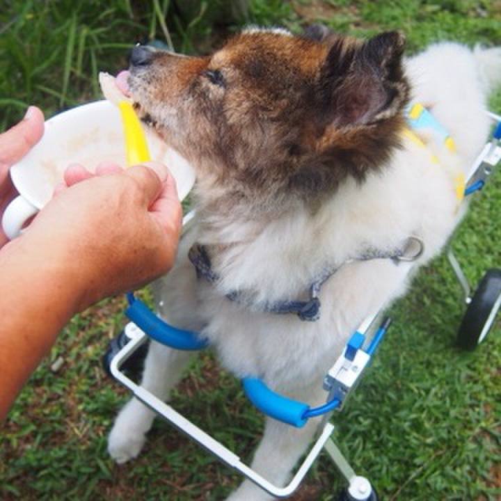 Bcc4d35a b4ee 47e6 91c2 99db14e73581 1633357957370