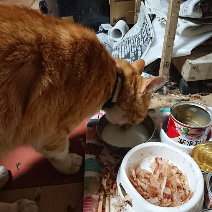 Bcc4e5be 6099 4137 ae67 cbde38a9d32d 1591385087454