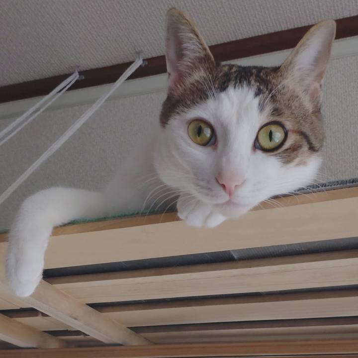 Bcc5262f 7318 4b30 9072 5081f361f85e 1672445309660