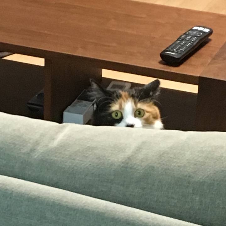 Bcc5649a be9f 40db a83c 572253ca9f48 1515498536814