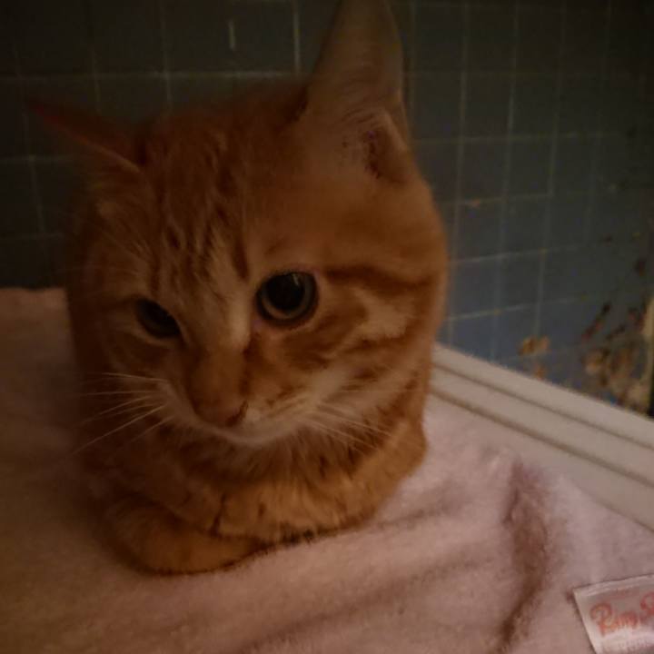 Bcc56d79 a052 4bf1 a572 951dcabf598e 1640078362995