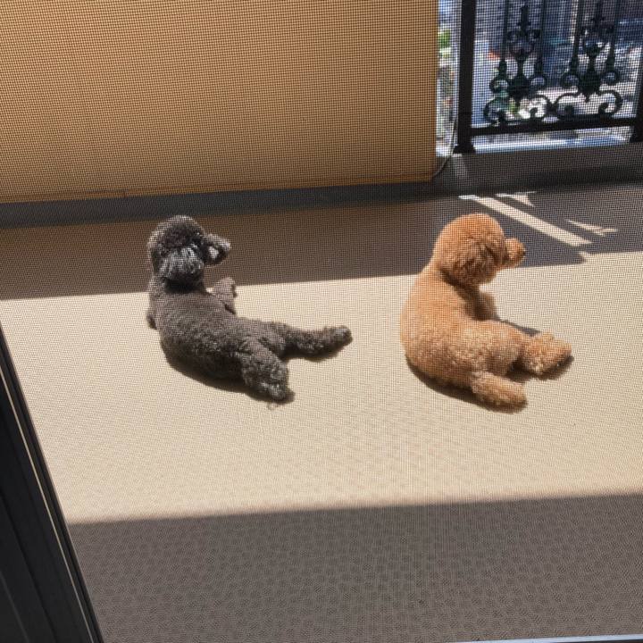 Bcc5c9db 936f 4eb4 9011 30bd7cb0a0b8 1632631859433