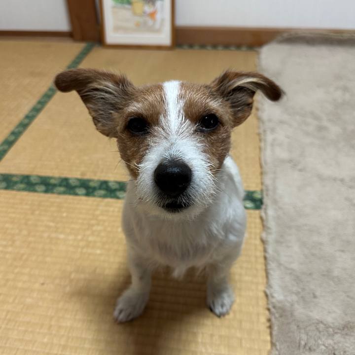 Bcc642fd 0591 4437 af90 993f5d1f7550 1765147763860