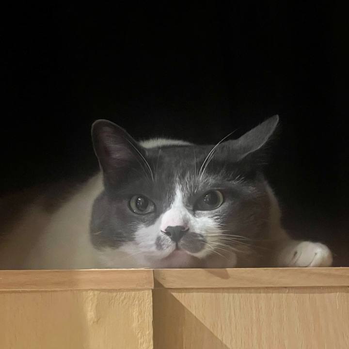 Bcc64e96 4f97 44c4 b09d dca101c2c491 1653915088257