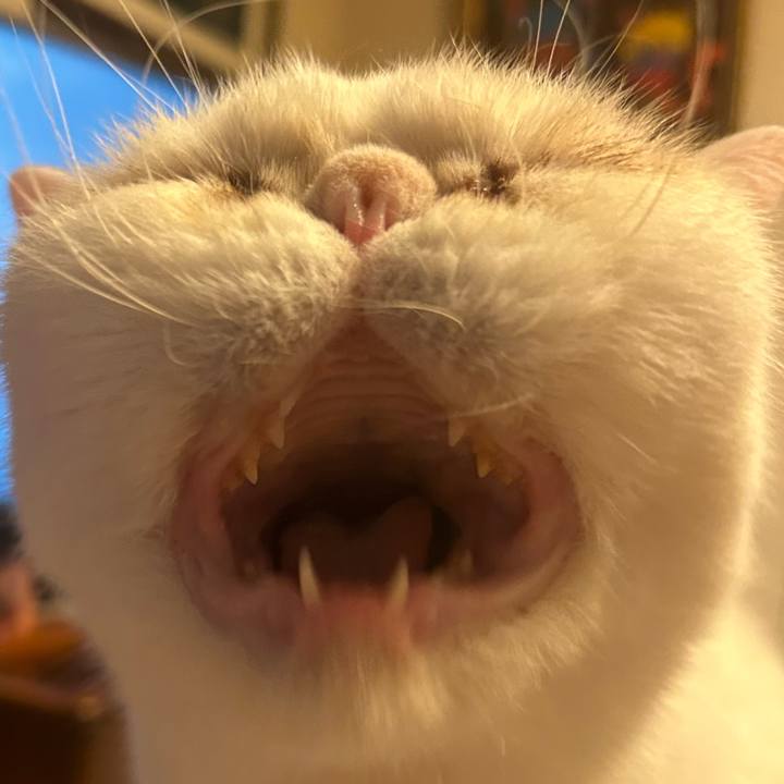 Bcc6608d b9c5 40c8 9ecb c01459210873 1724746381019