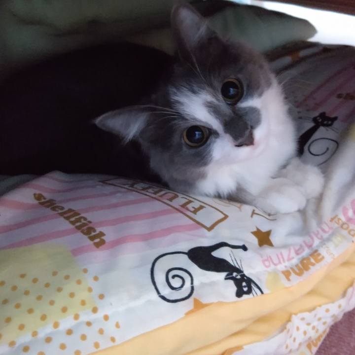 Bcc66478 8111 44e7 ad56 592aac7ab3da 1569367928485