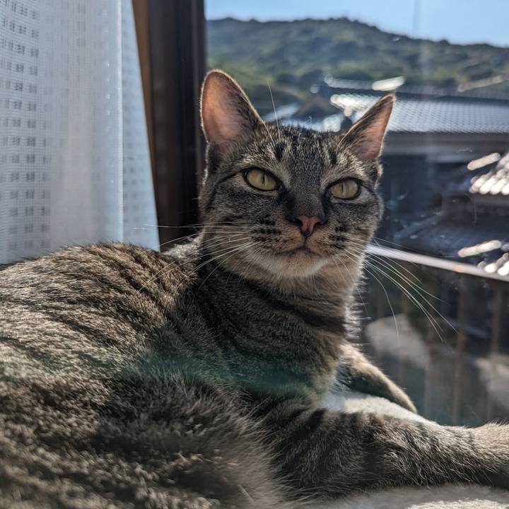 Bcc69bcb 8105 4007 9624 cd0afd1fcab2 1714796196548