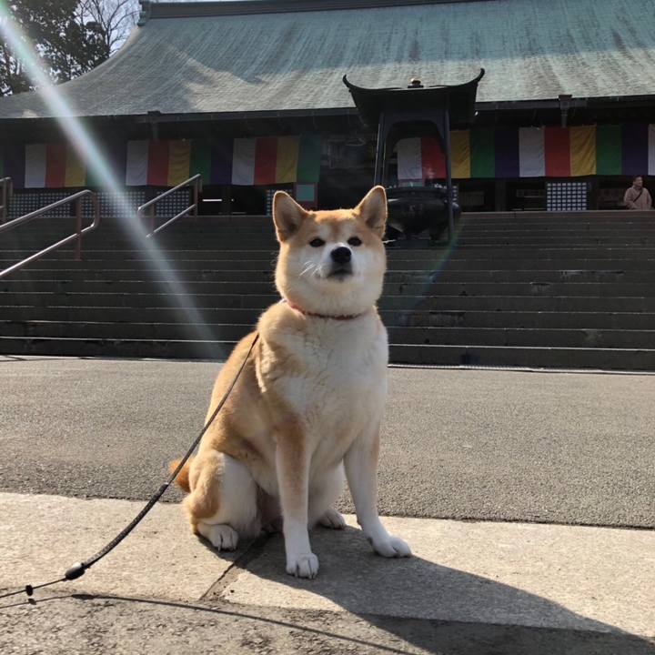 Bcc6a6a7 b2a2 458c 856c 36659410ec9f 1550030834676