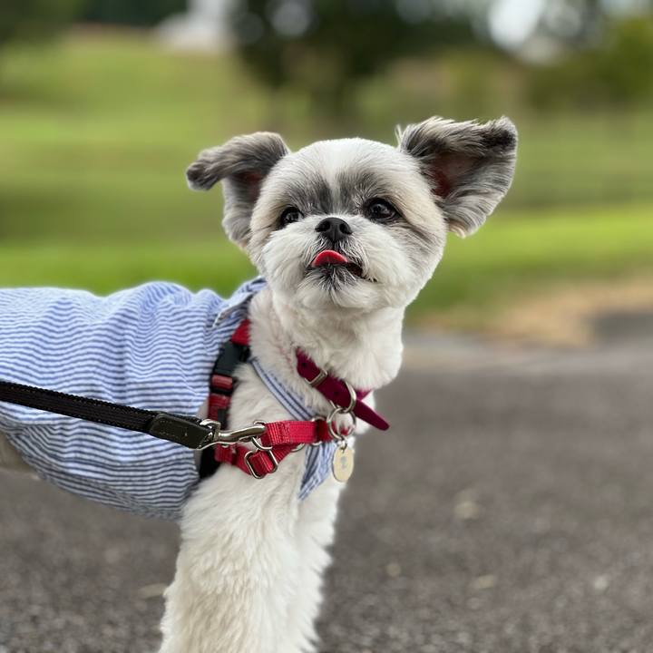 Bcc6bdda fb8d 4a07 8d00 8688663b486d 1694657065998