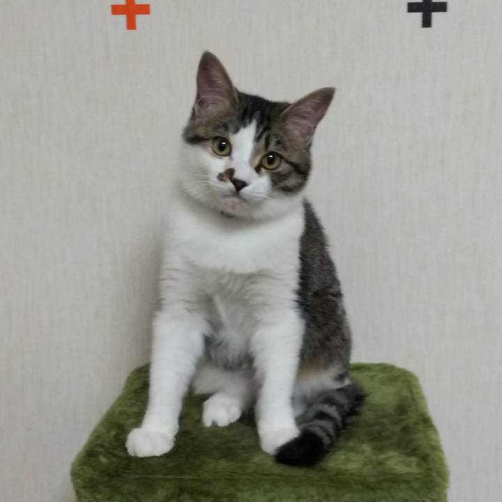 Bcc6cf14 1404 4559 8b62 61bab2f62cec 1614434352175