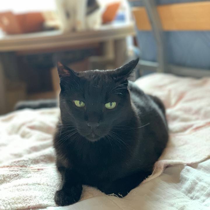 Bcc76485 9dee 4125 ba6c 1c2fa829c373 1593653189639