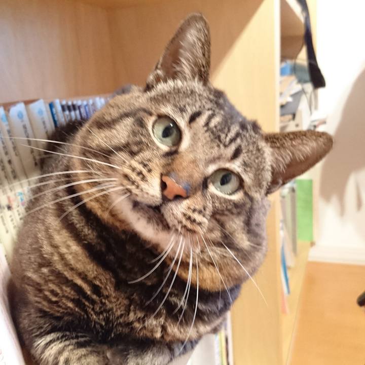 Bcc76833 68e8 4b2e 8ac2 6dc39f6f7403 1534405509156