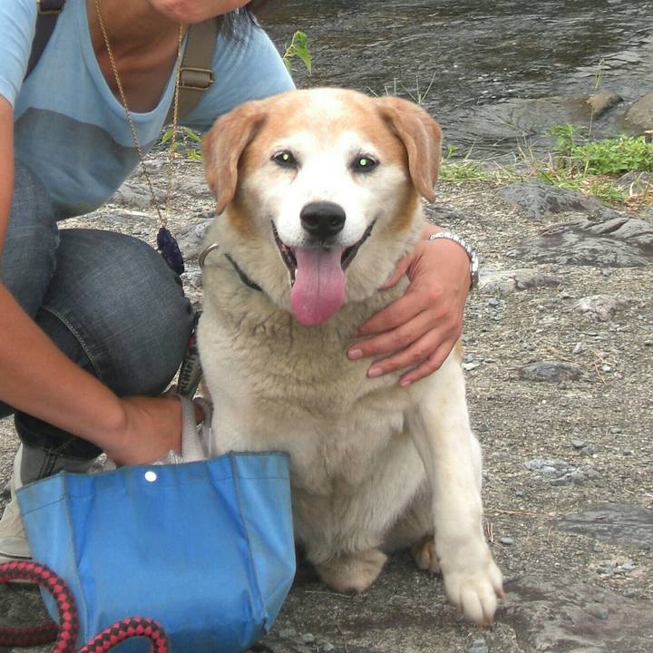 Bcc77b59 5a77 476f 9c86 69d9bf713b79 1513955990531