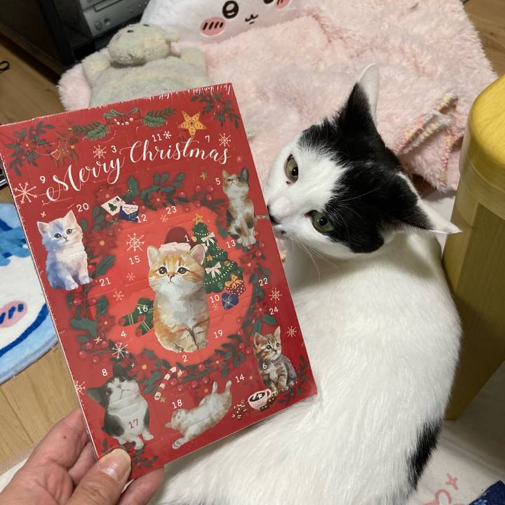 Bcc7a891 1aa5 44b3 9a55 2cd606495a4b 1763717465122