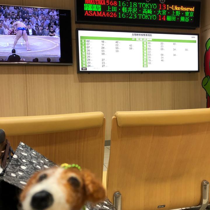 Bcc7af7e d098 44f0 ba5d 063b369b317b 1568704185687