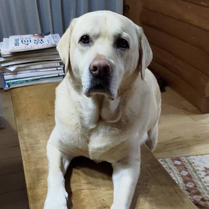 Bcc7b639 15c2 4689 8717 b3960f3a2d3b 1676807943347