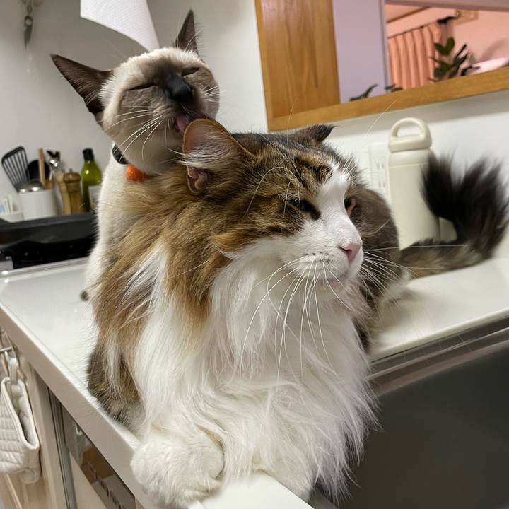 Bcc7c08e 7a96 4fe4 a16f fa7b28c9fb84 1696964967418