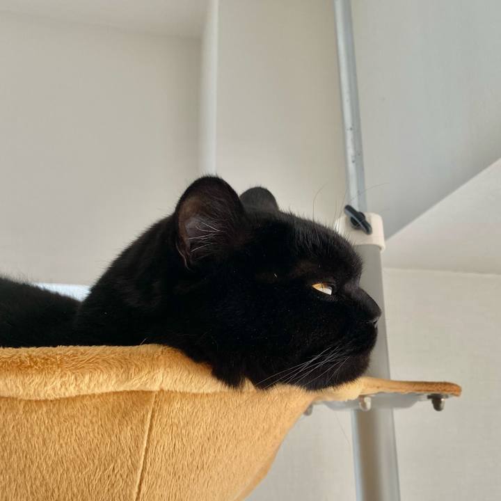 Bcc7c75d e993 4b24 a1b5 b46487a983c4 1605145561311