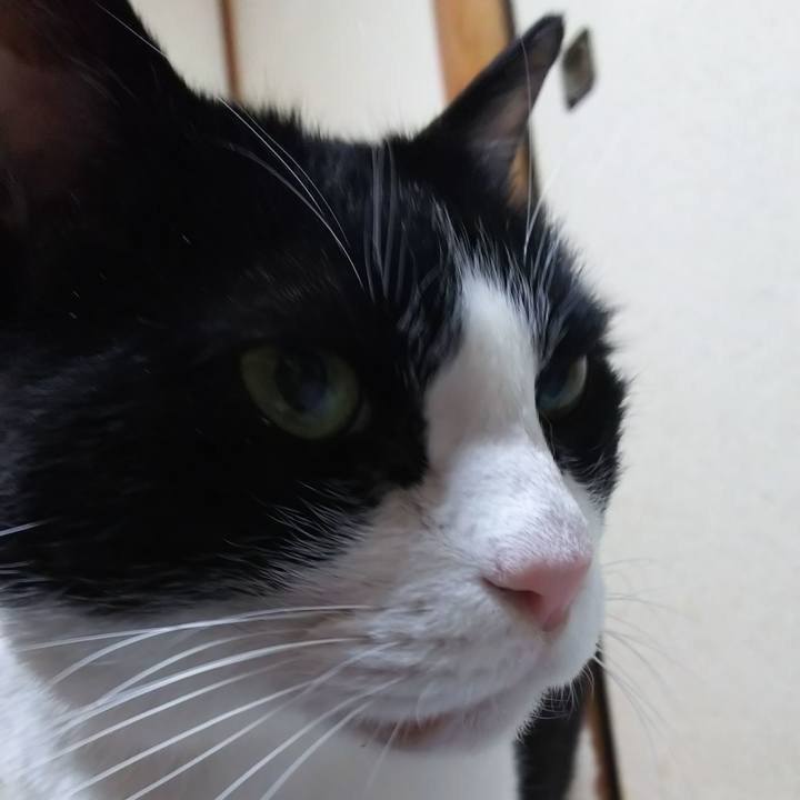 Bcc7fcff 2be8 4c5f aecf 145d524dbda9 1584159140088