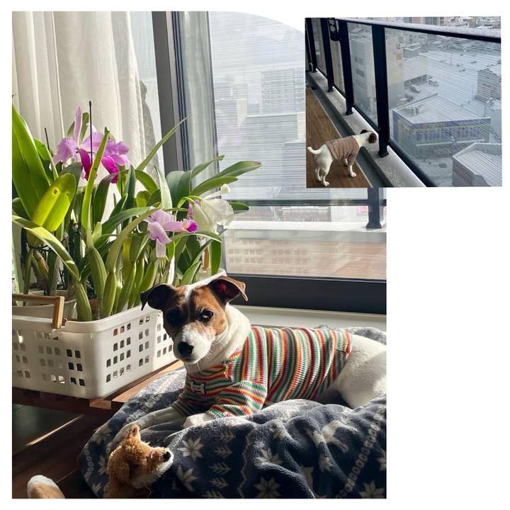 Bcc811c2 3852 4d42 9f4c d5aafd59fd3b 1736468401363