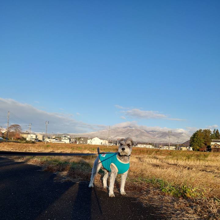 Bcc83706 6945 41c8 afa9 8e9e7f79271f 1763507318397