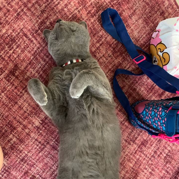 Bcc8710a 72a8 4bdc 9cd0 f19269c6a116 1592349199015