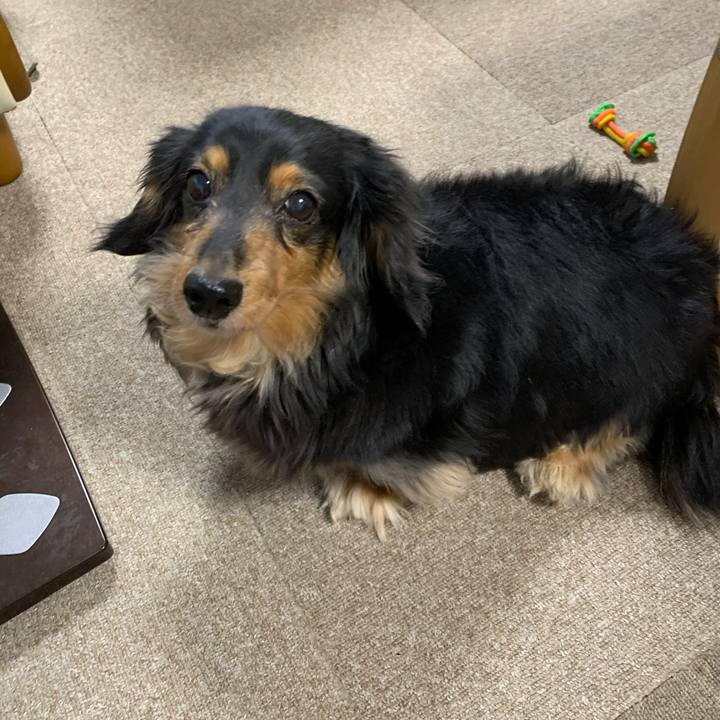 Bcc8bbc0 3fd0 444b 93d4 8edf34f6c52b 1582754051401