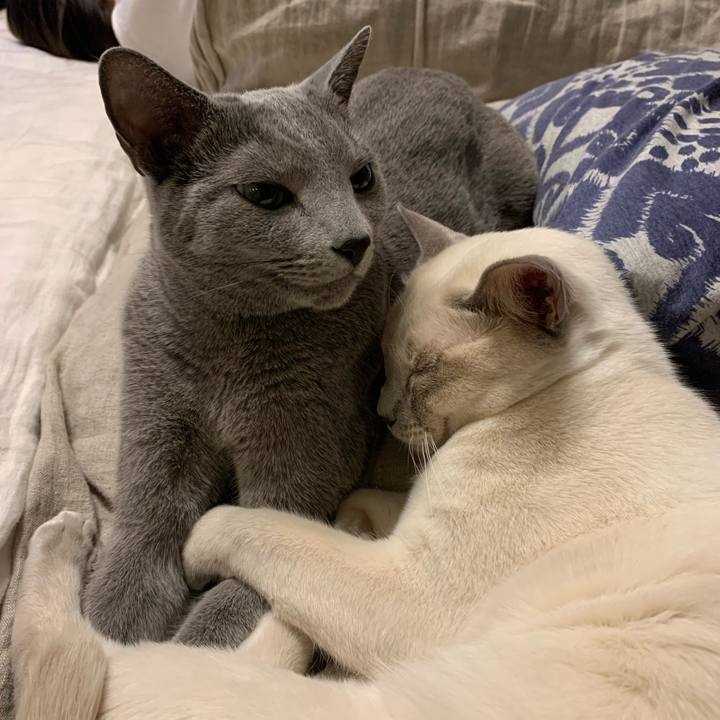 Bcc8c402 42f2 4b10 8401 0644892b5437 1736214798154