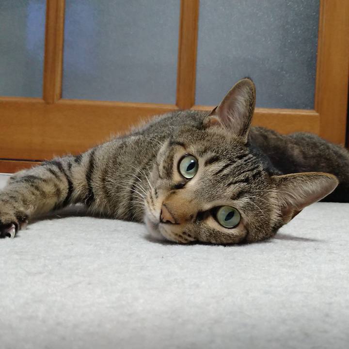 Bcc8e6ef 9045 40a4 9f0e b20afd1b0289 1627464726840