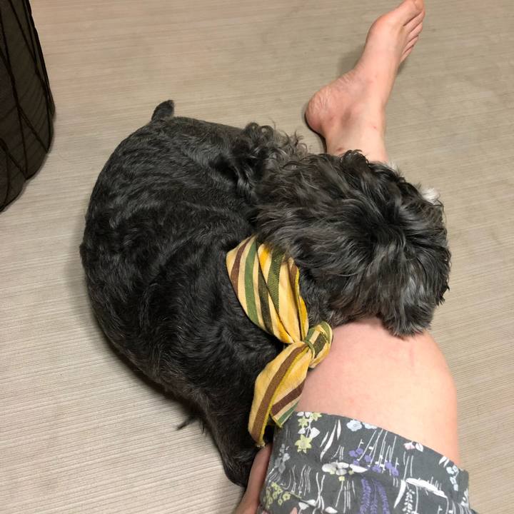 Bcc8ef5c 9cdf 4a2b b0b8 889bafd7f2ec 1659014510052