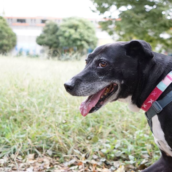 Bcc8f091 78fc 402d bfb1 ace4aae57fc3 1759189671653