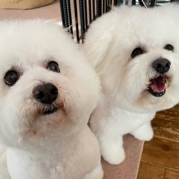 Bcc8f152 0454 4d0a b160 a6954743d0bd 1673413185899