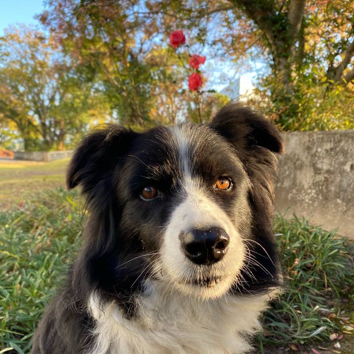 Bcc92aa4 be6f 4232 9257 0925093bc709 1605309059817