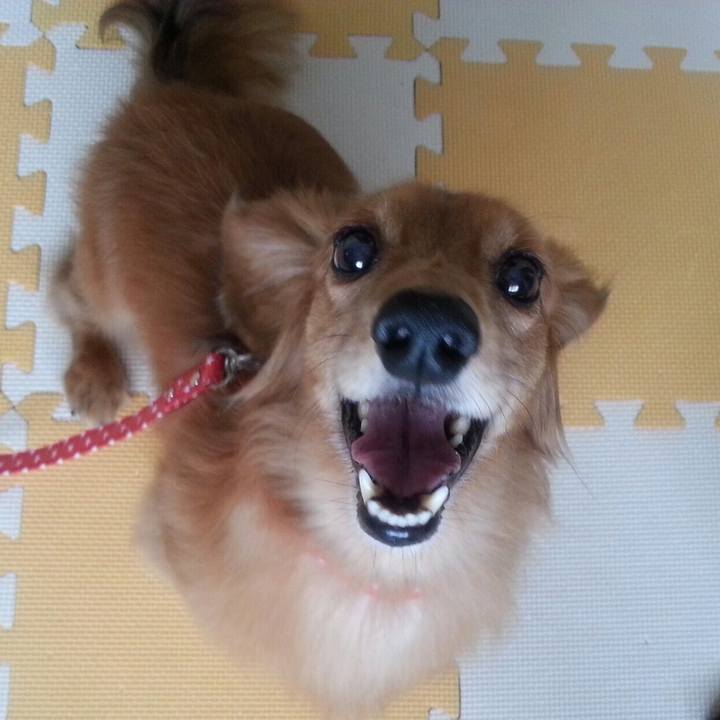 Bcc92e9b 5f8b 4e89 9265 6f879a0cdc25 1521442564707