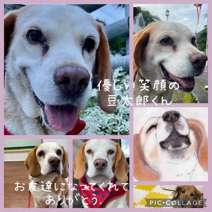 Bcc938de 7b8a 494f 95cf dd085a42804e 1658587739212