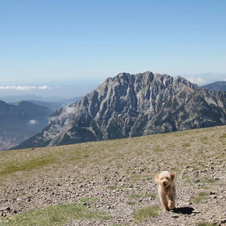 Bcc94499 9a2b 4118 9e09 86de4f3f1d75 1594132617599