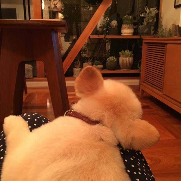 Bcc947ad 2c27 4ba5 8b51 abc1f358dac2 1529235526351