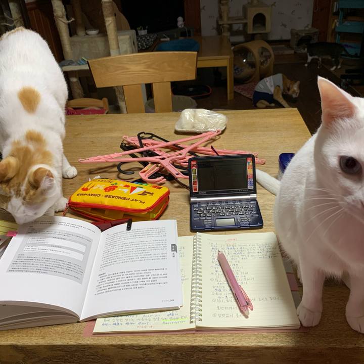 Bcc94b3d 1de1 4b16 9ac9 8202a174cecd 1617720975965