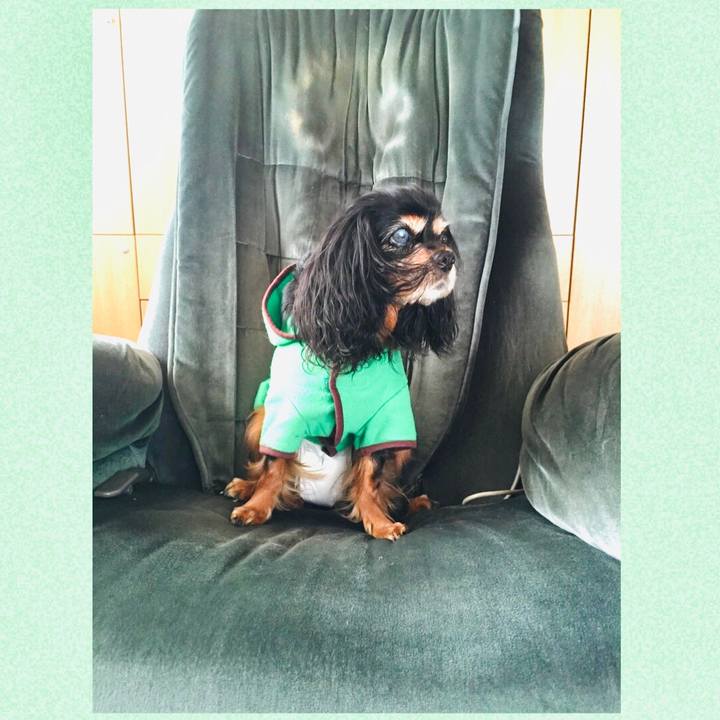 Bcc973df e0a3 401c ac53 6e13b2beb605 1602492907887