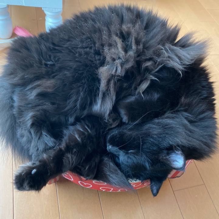 Bcc97cac cb8f 4af7 8c32 0d43efde452f 1576238298341