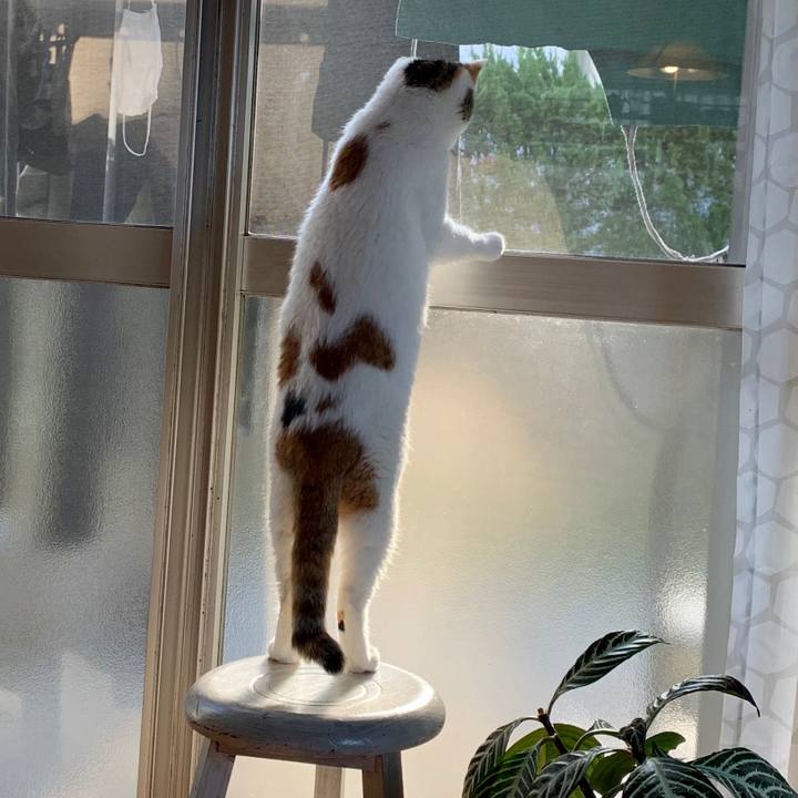 Bcc9a008 f722 45fa 9a52 f957bac0fa02 1609721812953