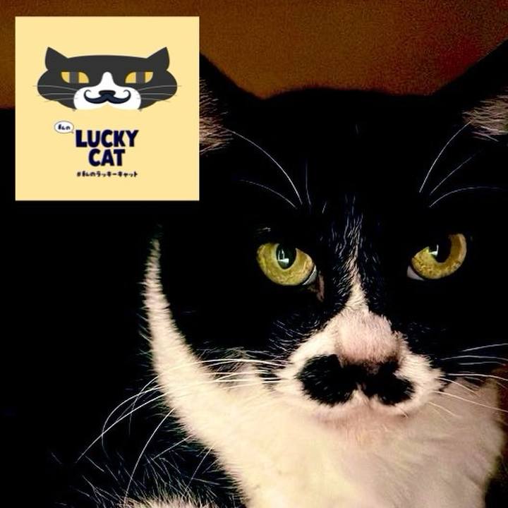 Bcc9e22c b116 40d3 b66a e7cc957dc482 1708506696788