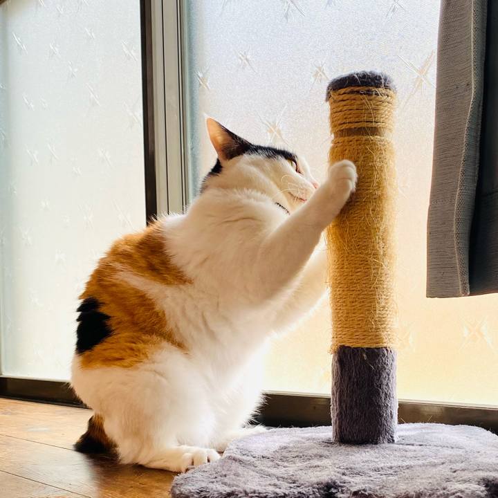 Bcca3842 e389 49c4 9686 dc9aa6d457fd 1685882652268