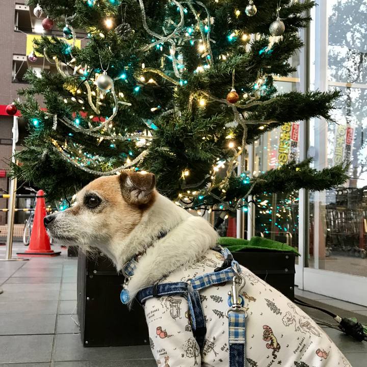 Bcca7d1b bfc5 45d4 ba11 f9efc29e95f1 1606809751923