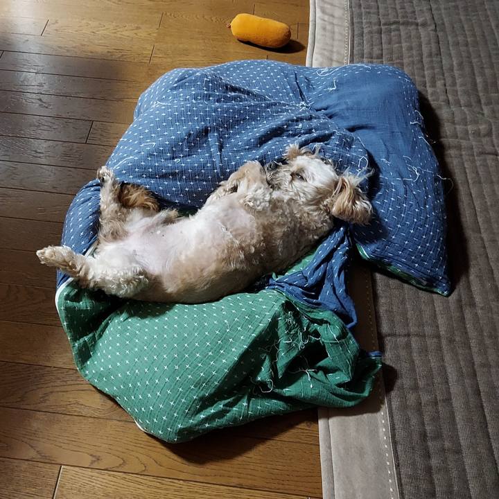 Bcca872a 57a3 4dff 8b3a 0e2f14e38179 1625696239362