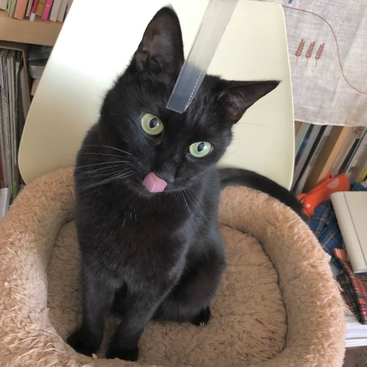 Bccaafcf 9806 4104 a7f5 642a1c778938 1615689924850