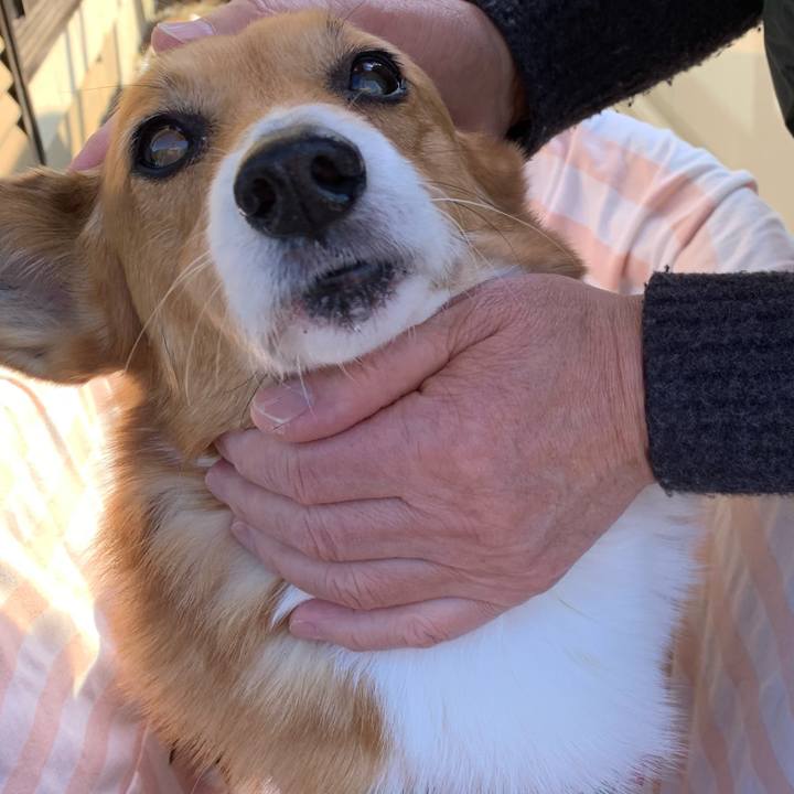 Bccac95f 84bb 440f bb39 a279c2ebc3be 1707621642846