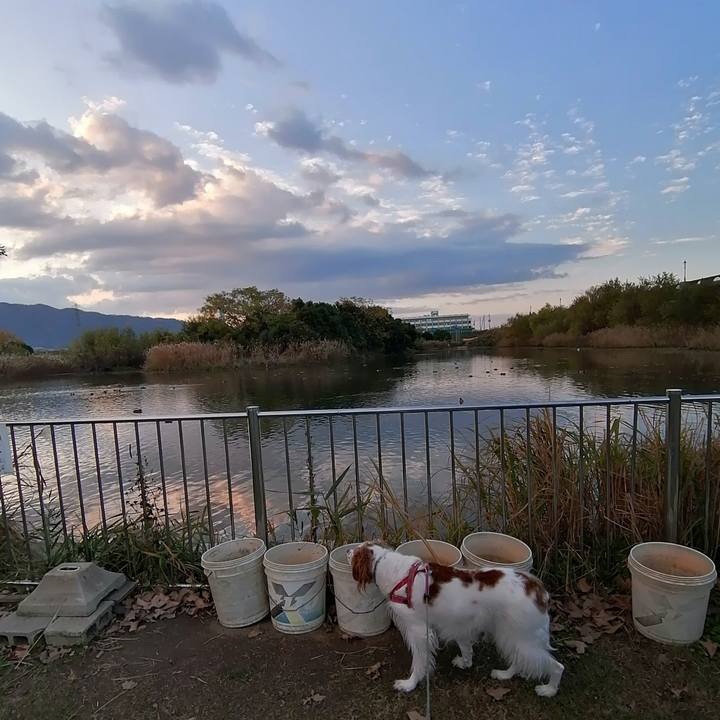 Bccada77 fd95 4a18 848b e42e3a7308bd 1606522841710