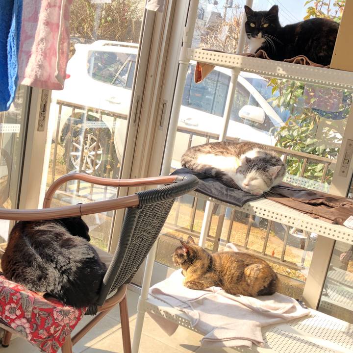 Bccb59b0 d5de 42de afe4 8e713096fde6 1647041976943